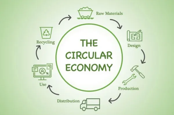 Sustainability Sustainability